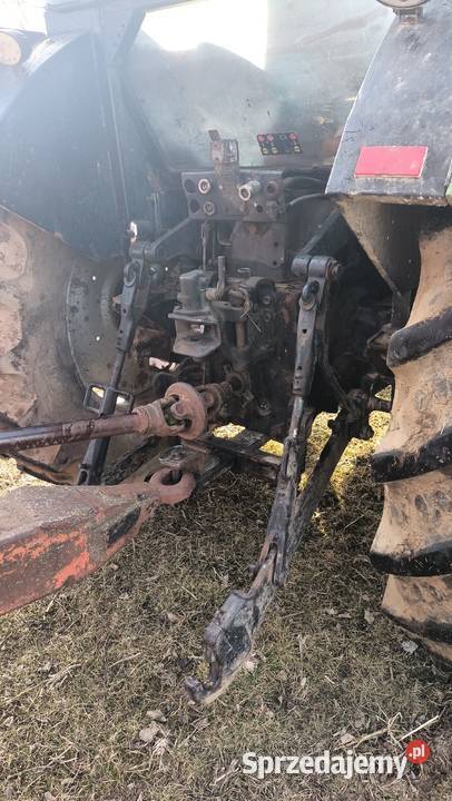Deutz Fahr Korzeń sprzedam