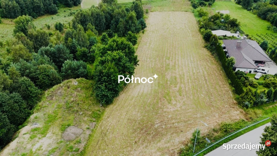 Sabaudia działka w zielonej okolicy asfalt lubelskie