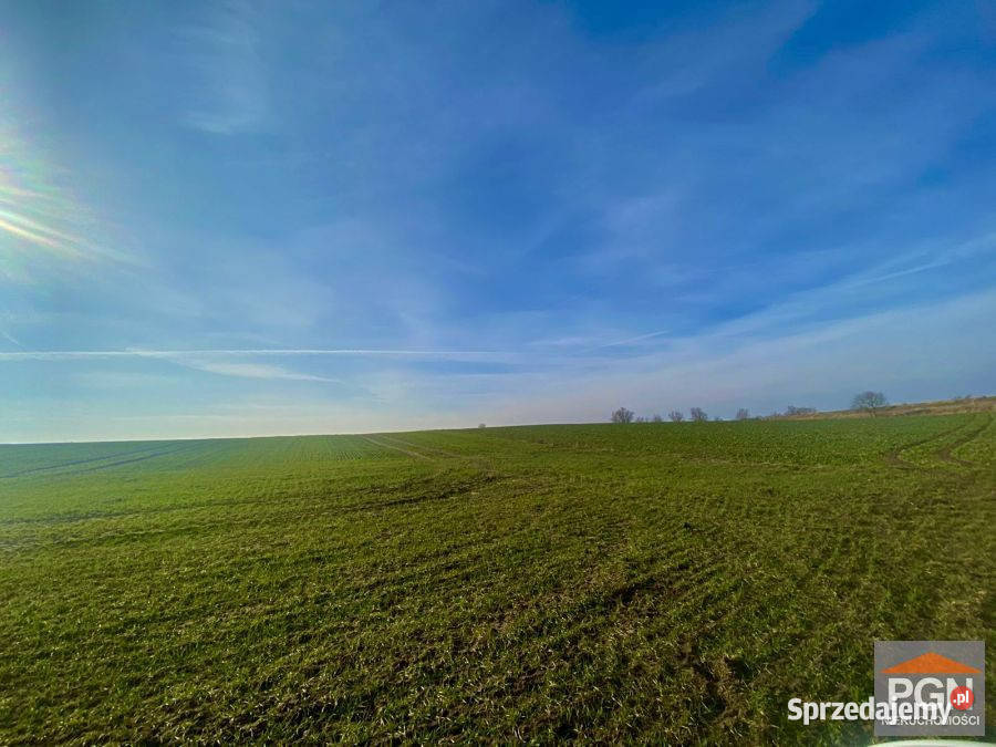 Działka Trzęsacz 5460m2 polna