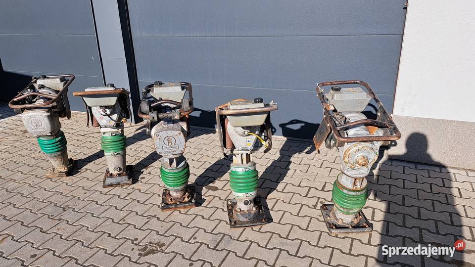 Skoczek Wacker Bs50 BS60 BS62Y Rok produkcji 2018 śląskie Cieszyn sprzedam