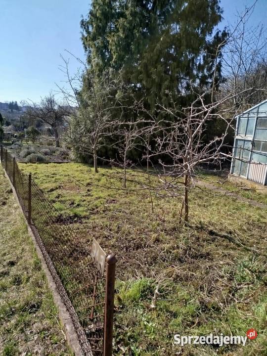 Działka rekreacyjna ogrodowa ROD Harcerska Konin 250m2 sprzedam
