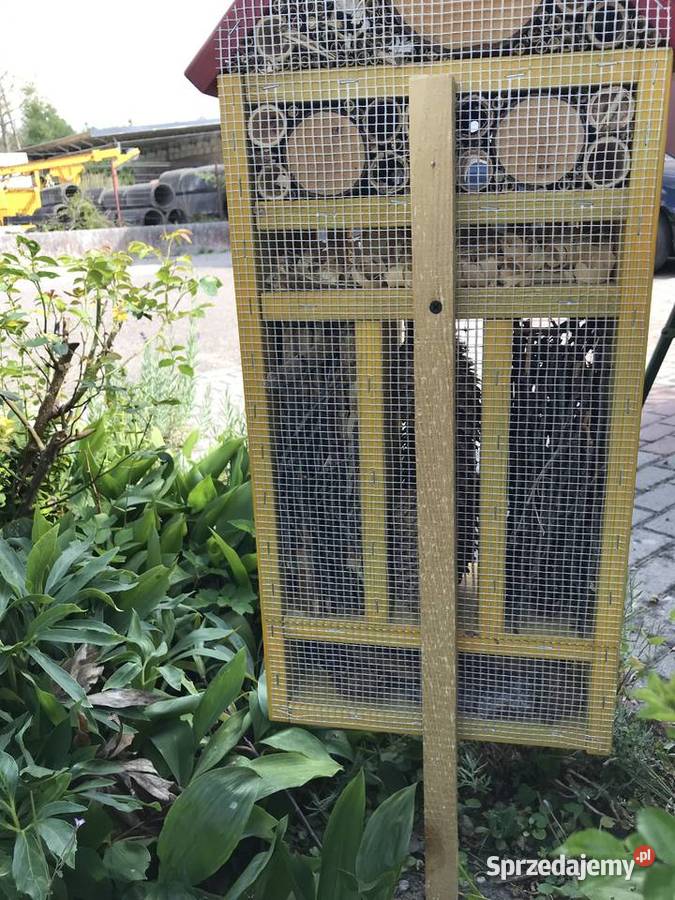 domek owadów 70 zachodniopomorskie Sławno sprzedam