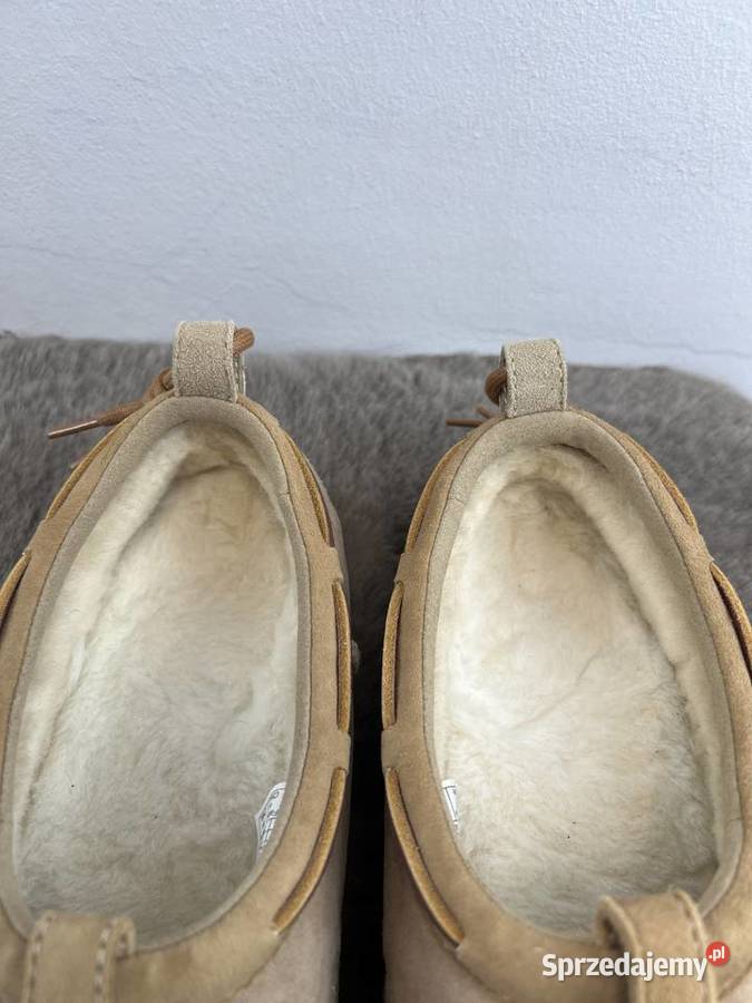 półbuty męskie skórzane ugg tasman crafted 44 Rzeszów