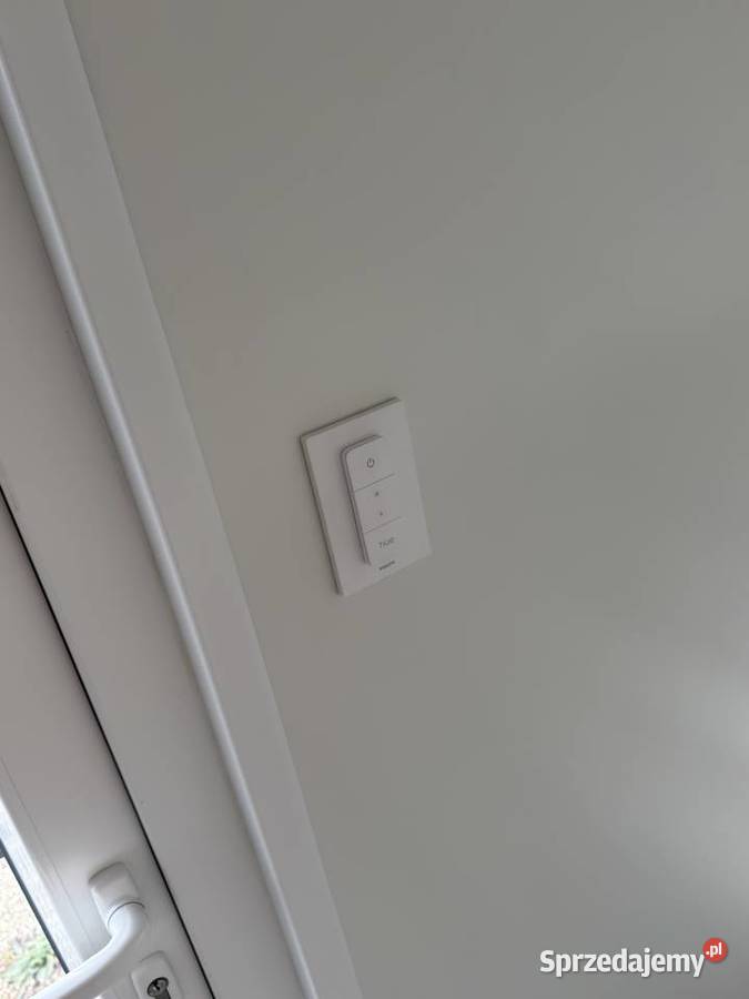 NOWOCZESNY KONTENER BIUROWOUSŁUGOWY 724 290 Działoszyce
