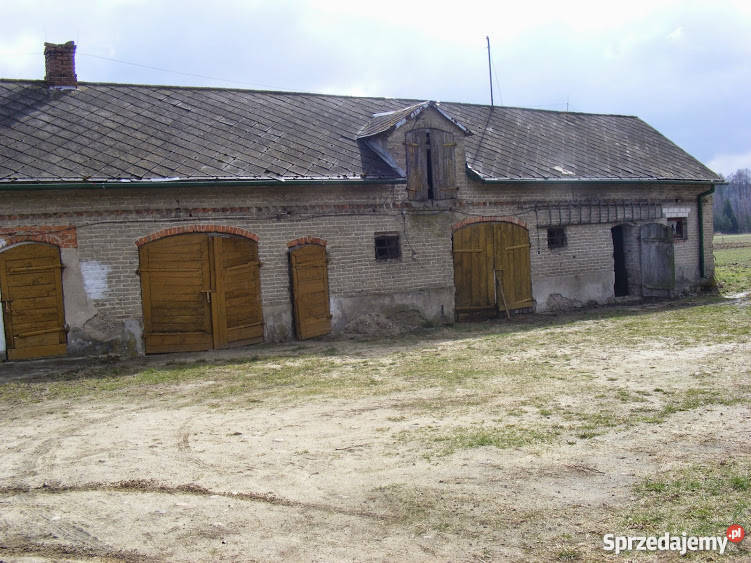 Działka siedliskowa Strzembowo 35 ha Grunty i działki Strzembowo