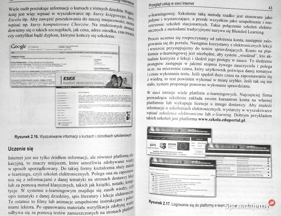 Popularne usługi internetowe Aleksander Bremer Chełm sprzedam