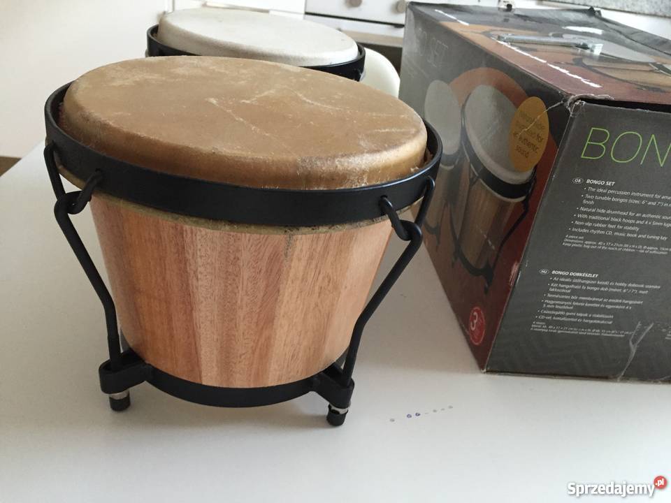 bongosy bongo set pomorskie