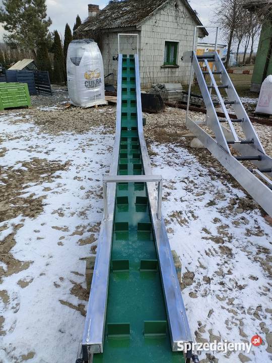 Taśmociąg Podajnik Transporter do zbioru warzyw Ewunin