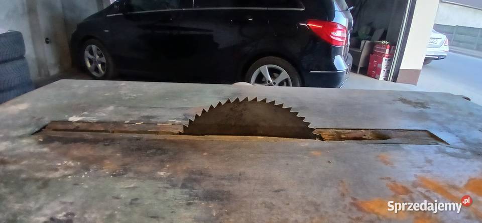 Krajzega piła stołowa Rawicz