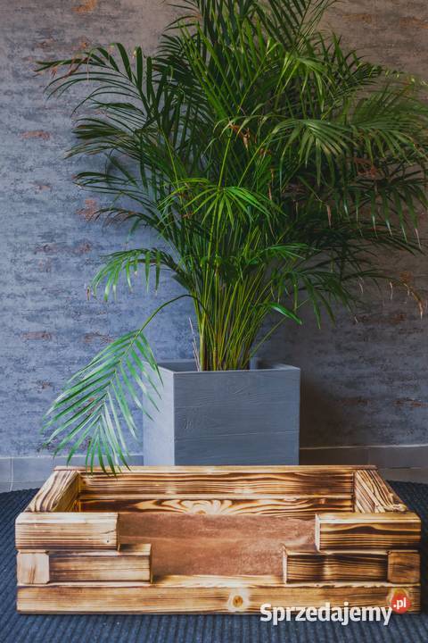 Drewniane legowisko psa z poduchą rozmiar 1 małopolskie Trzemeśnia