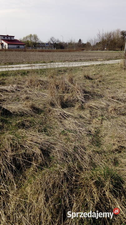 Dzialka budusł 1000 m2 w Łoziska kPiaseczna bezp