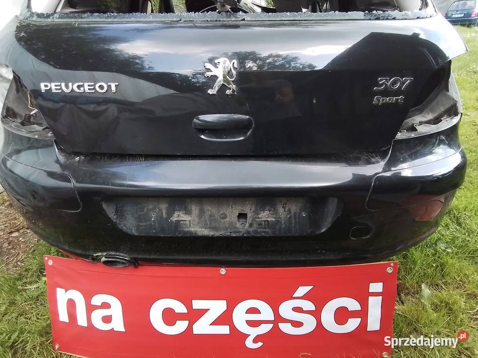Peugeot 307 16b lift EXLD spotr Tuszyn
