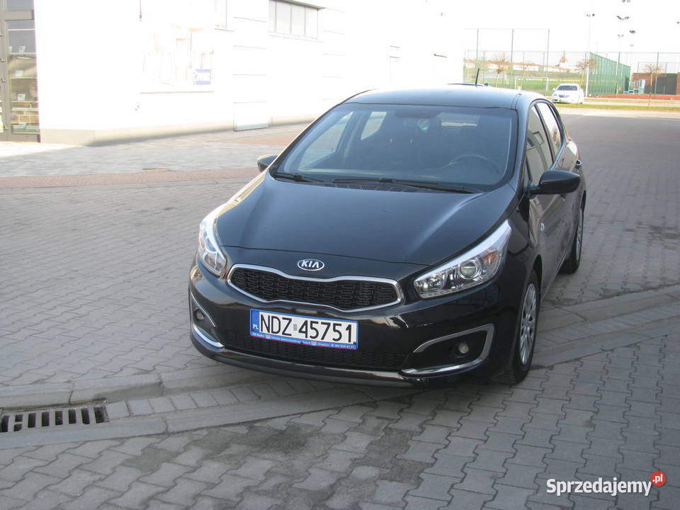sprzedam kia ceed 16 cdi Polski salon Działdowo