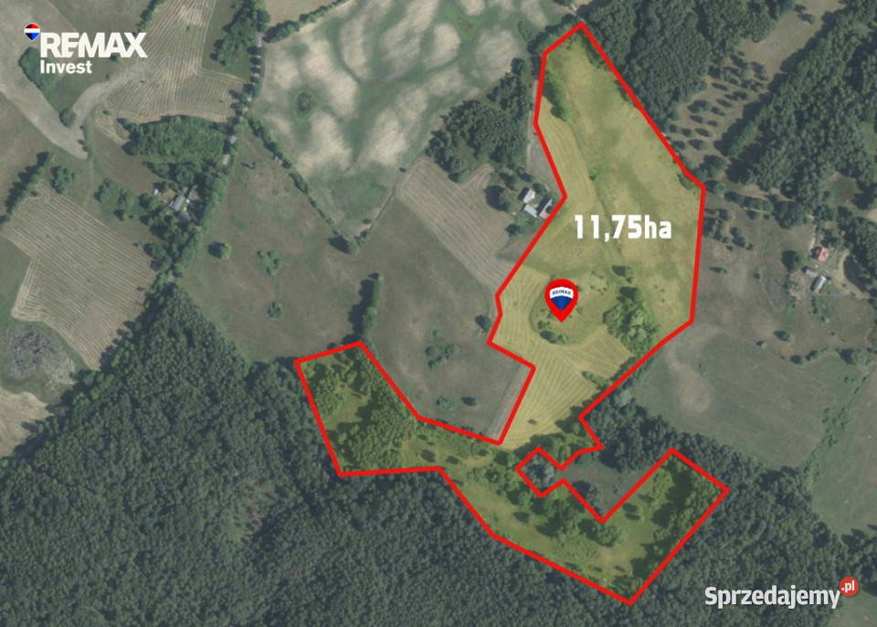 Na przedaż kompleks działek 146500m2 Nowe Worowo
