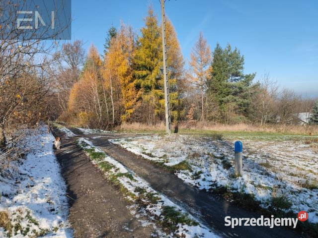 sprzedaży gruntu 6000m2 Babica