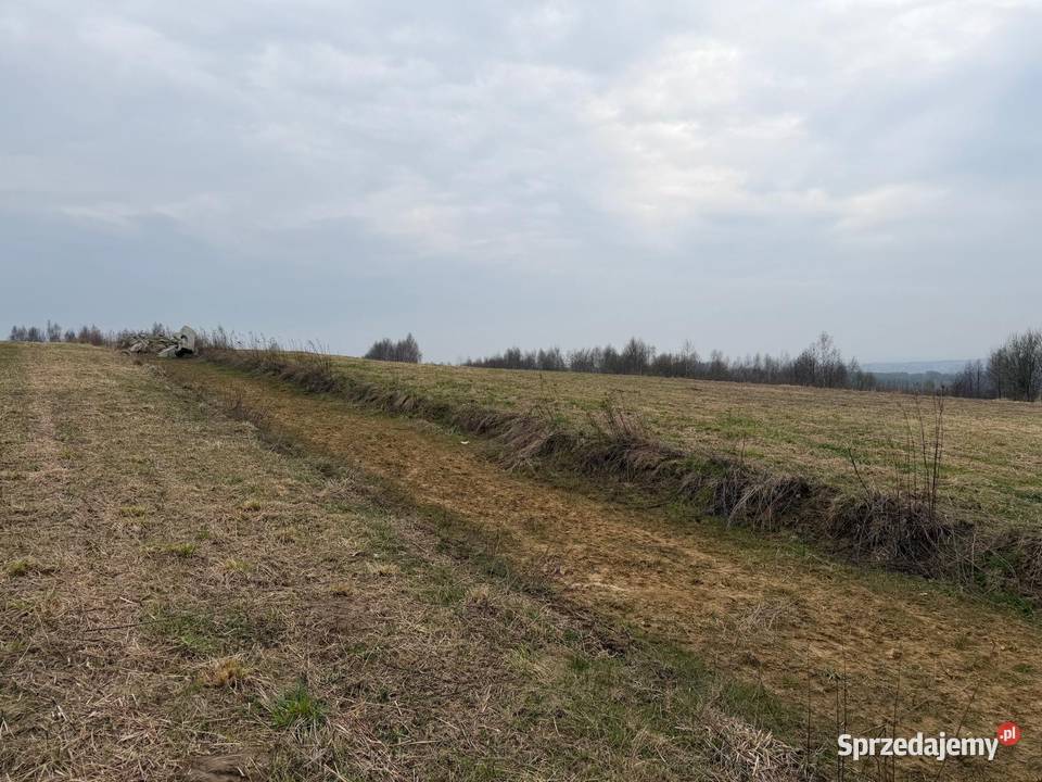 Na sprzedaż działka rolna 31 ar Malawa 52zł/m2 podkarpackie