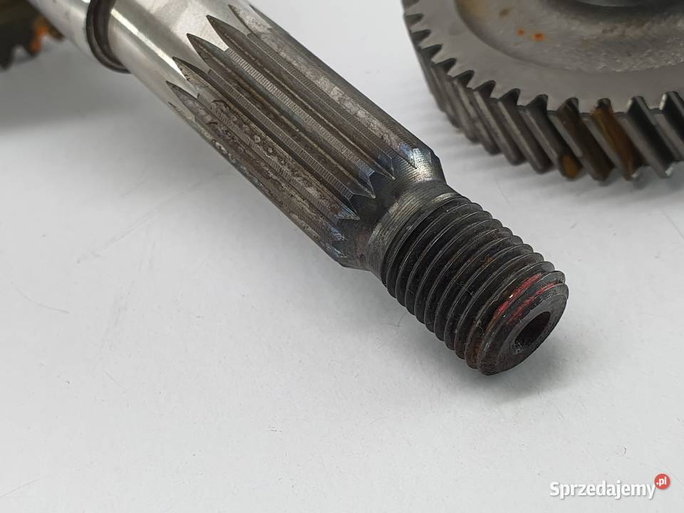 Tryb Zebatka Walek Napedowy Skrzynia Malaguti Łódź