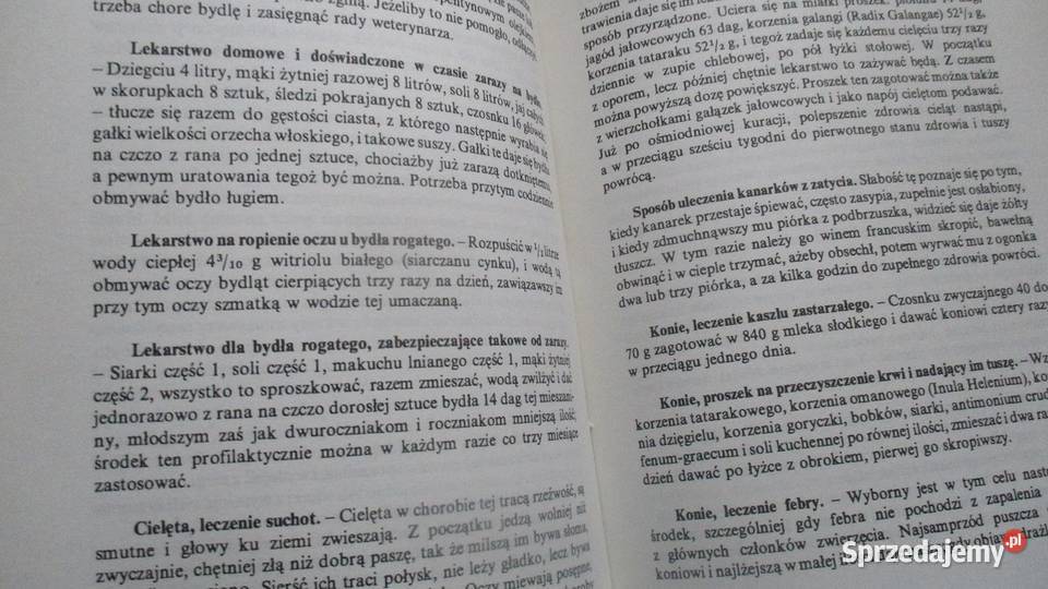 Złota encyklopedia naszej babci przewodnik Łódź