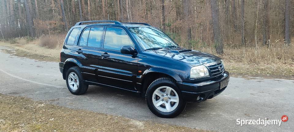 Suzuki grand Vitara 20 HDi zdrowa mazowieckie Lipsko