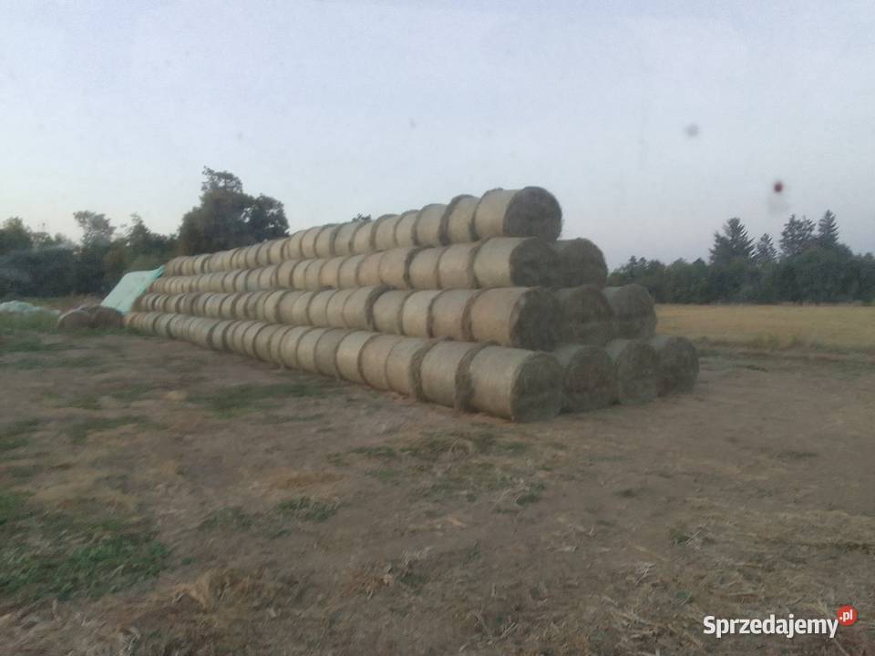Słoma i siano 2025 Hostynne sprzedam
