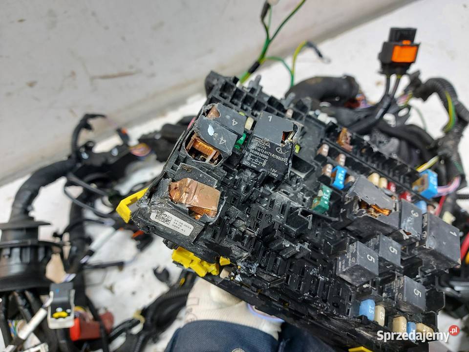 OPEL Grandland II 2024 Wiązka komory silnika dolnośląskie