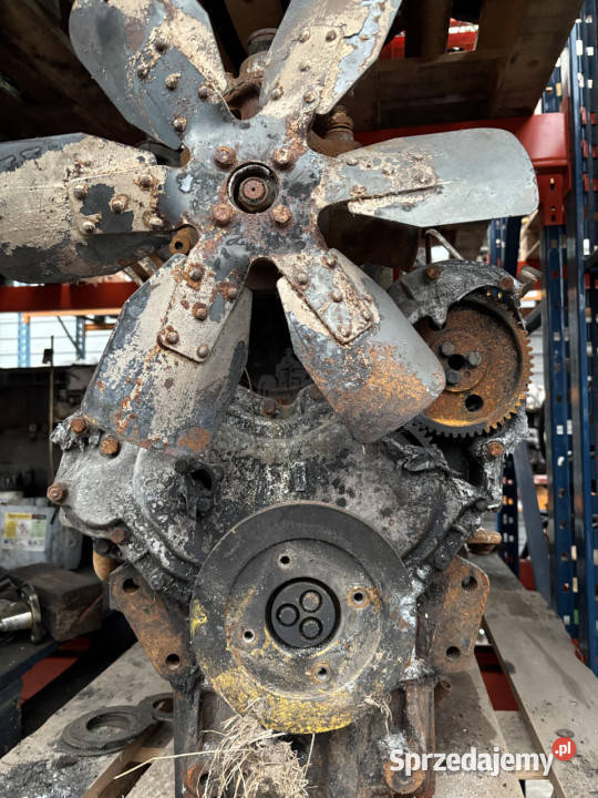 Perkins LF31227 Silnik Blok Tryb Koło Pasowe Jastrzębniki