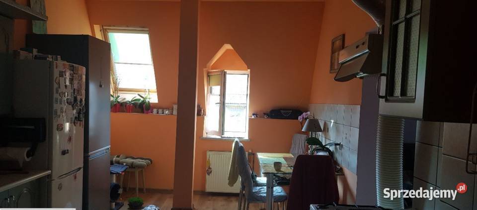 4pok 106met Traugutta 2 PIWNICESTRYCH Legnica dolnośląskie sprzedam