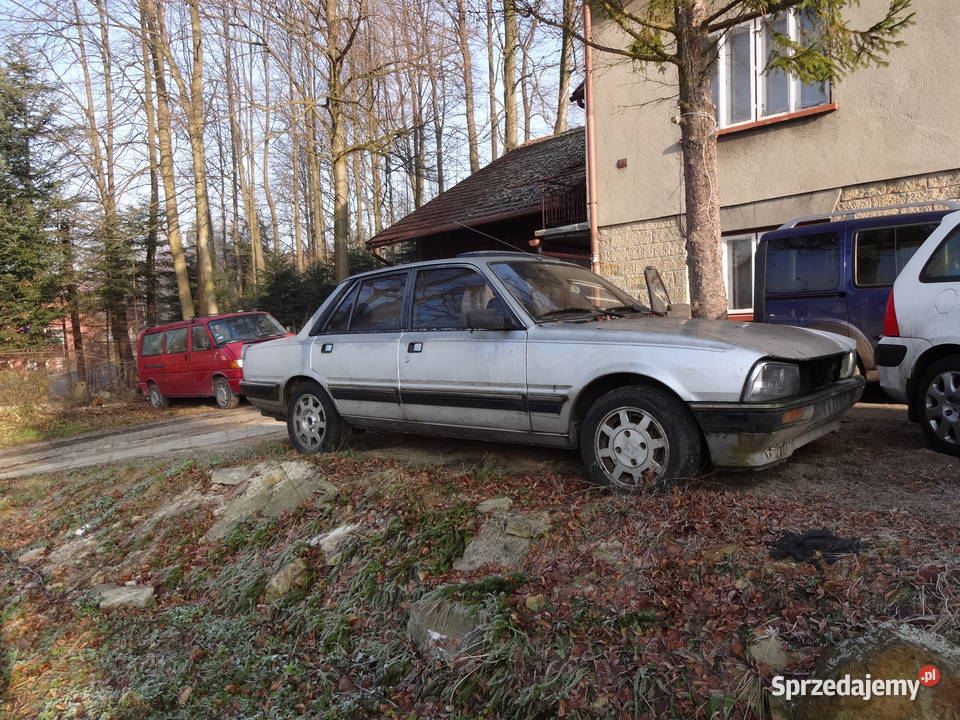 Peugeot 505 benzyna