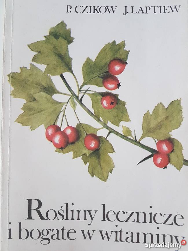 ROŚLINY LECZNICZE I BOGATE W WITAMINY zdrowie, pierwsza pomoc Zielona Góra