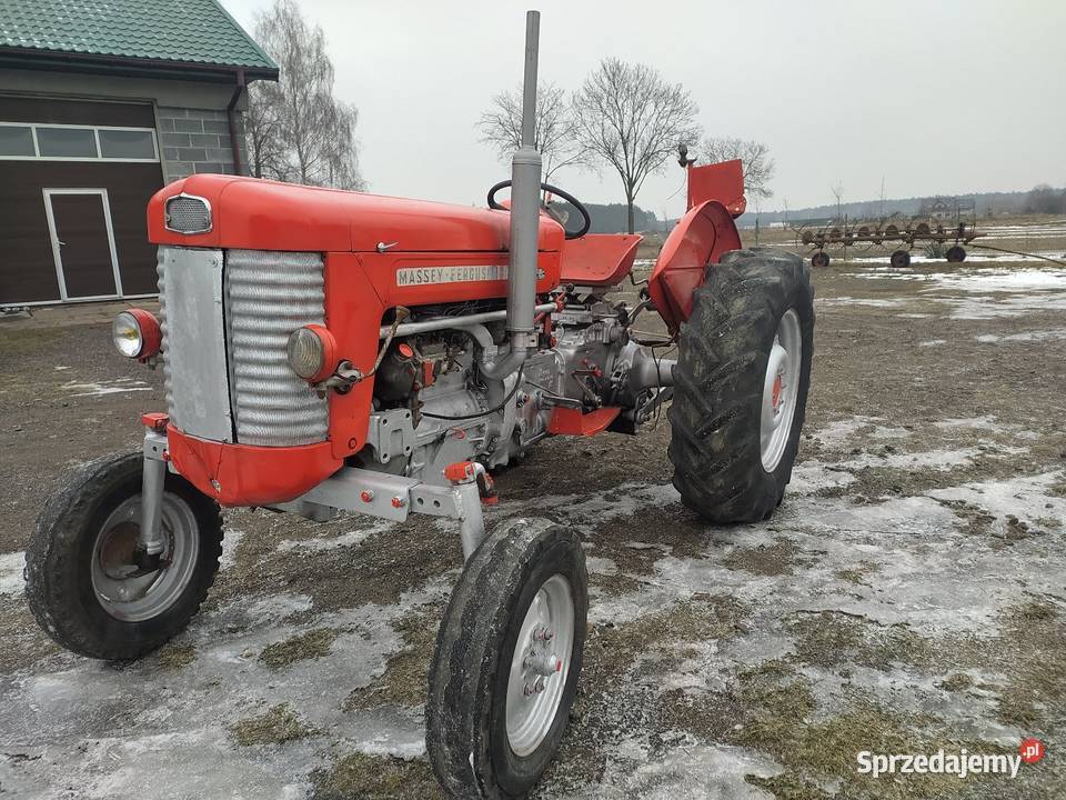 Ferguson M F 65 Skrzynia biegów Manualna łódzkie Łubno