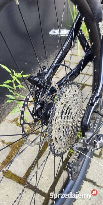 Rower enduro dh trail Marin Alpine trail xr Kraków sprzedam