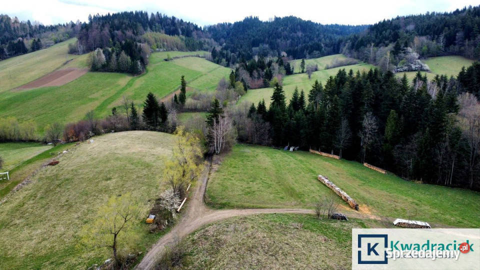 Grunt Zawóz 3100m2 podkarpackie