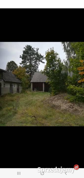 Sprzedam siedlisko 40a Dąbrowy gm Rozogi Sprzedaż Szczytno sprzedam