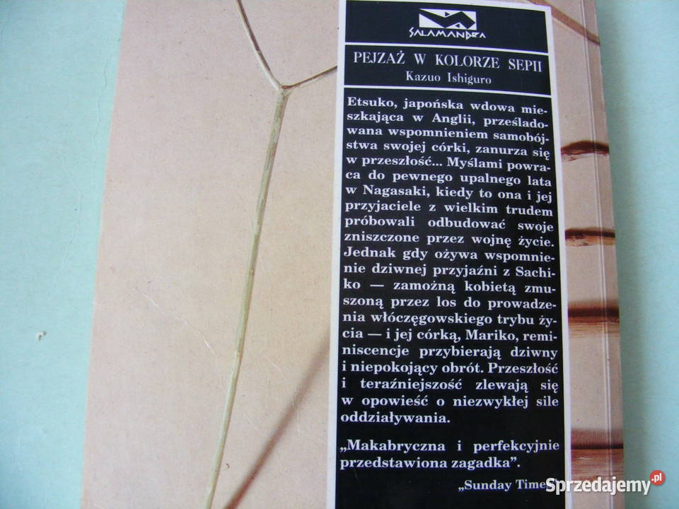 Zgliszcza Harrison Pejzaż w kolorze sepii