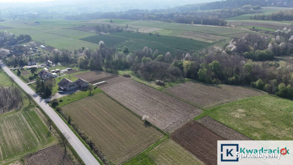 Grunt 45000m2 Kopytowa podkarpackie