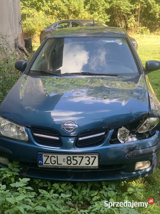 Na ssak almera diesel 22 Wołowiec sprzedam