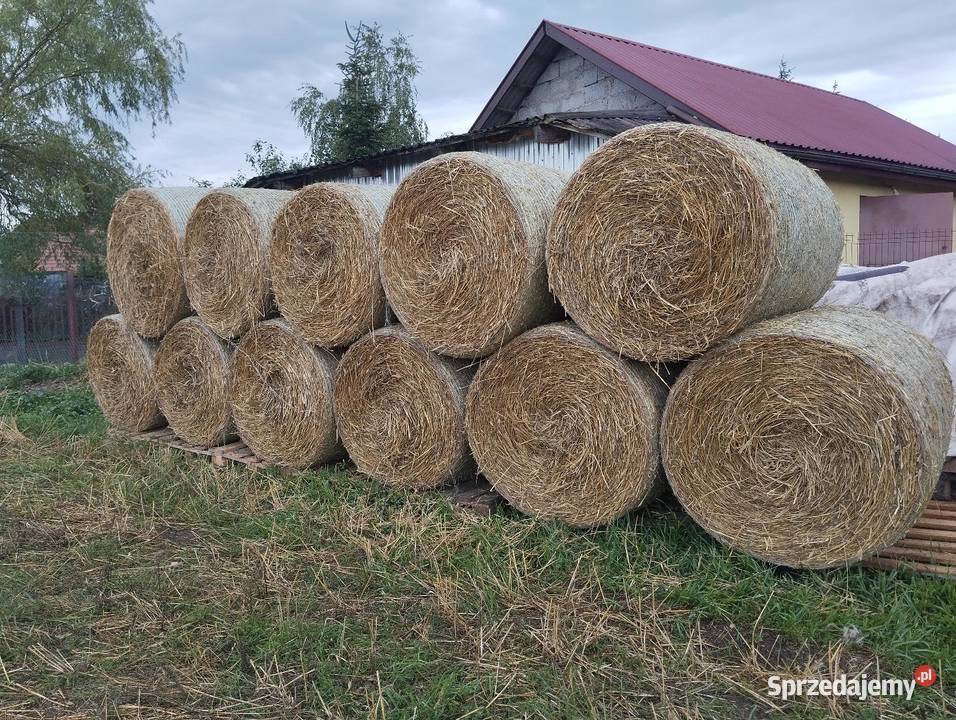 Baloty Słomy Trawy, słoma Śladków Mały