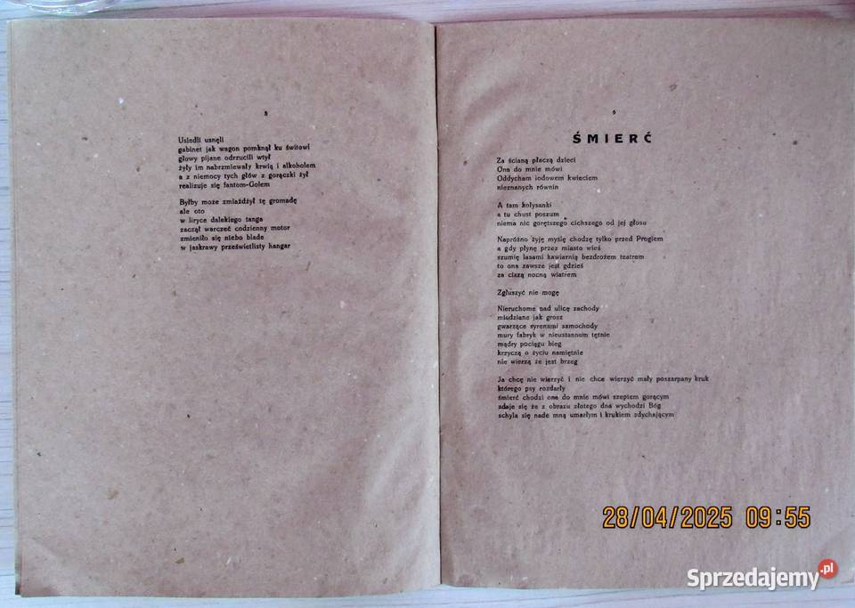 Reprint debiutanckiego tomiku JCechowicza Kamień Bychawka Trzecia