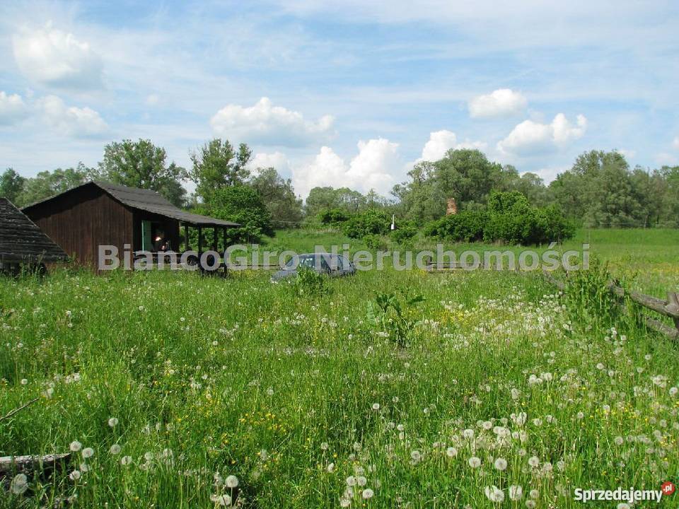 działka 32500m2 Piaski Duchowne Piaski Duchowne