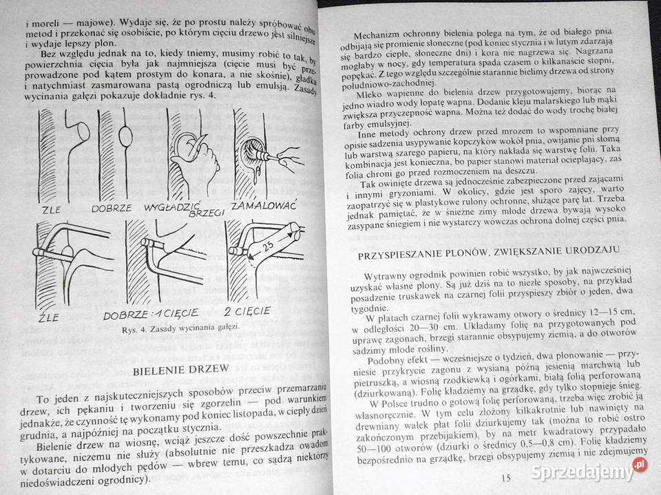 Zdrowy ogród Nina Grella Chełm sprzedam