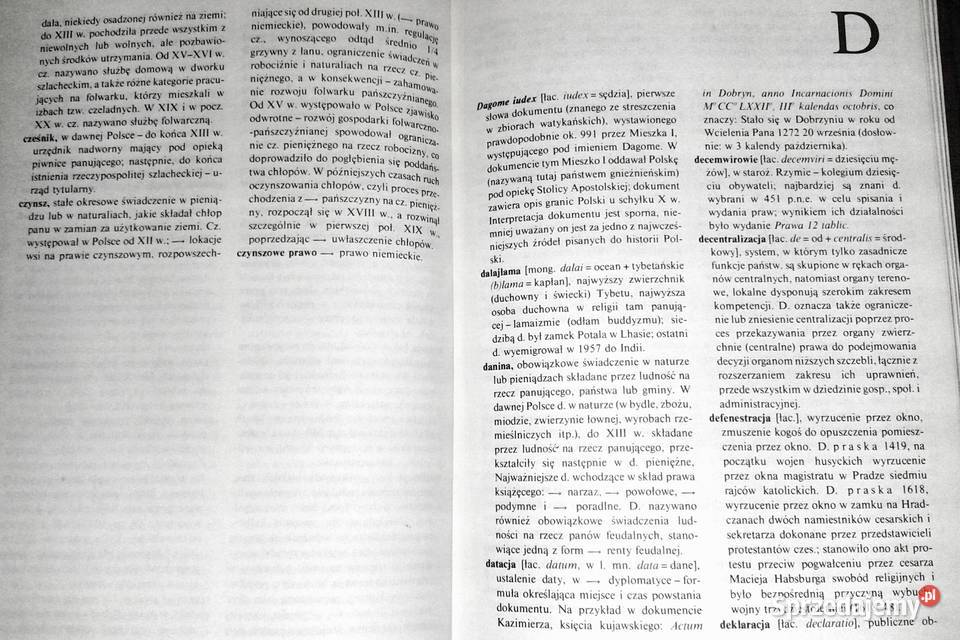 Terminy i pojęcia historyczne Bogdan Snoch twarda