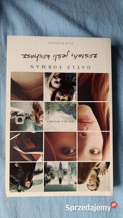 Zostań jeśli kochasz lubuskie Zielona Góra