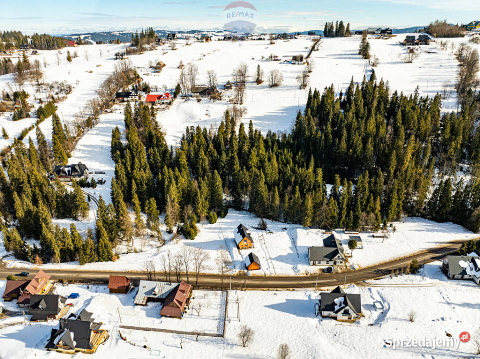 Dom jednorodziny z wiatą w otoczeniu lasu i Leśnica