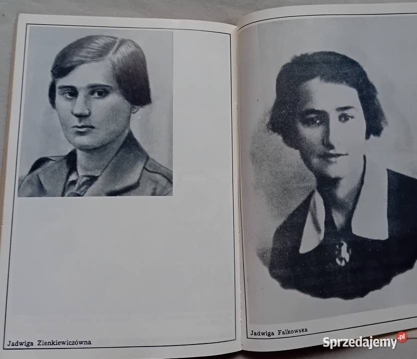 Leon Dmytrowski Trzy młodości ruchu zuchowego wielkopolskie Koźminek sprzedam