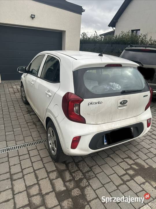 Kia Picanto Kurowice