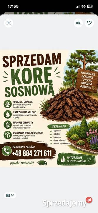 Kora sosnowa Truskolasy