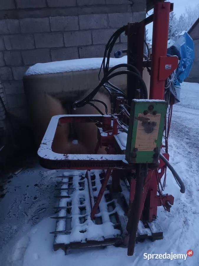 Wycinak kiszonek mazowieckie Płock