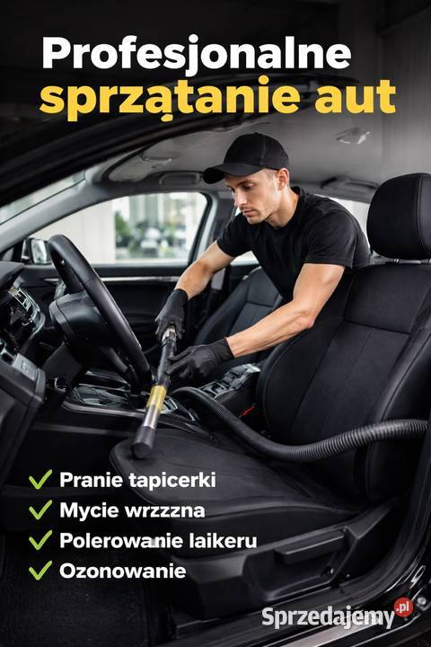 Usługa sprzątania auta Sabaudia