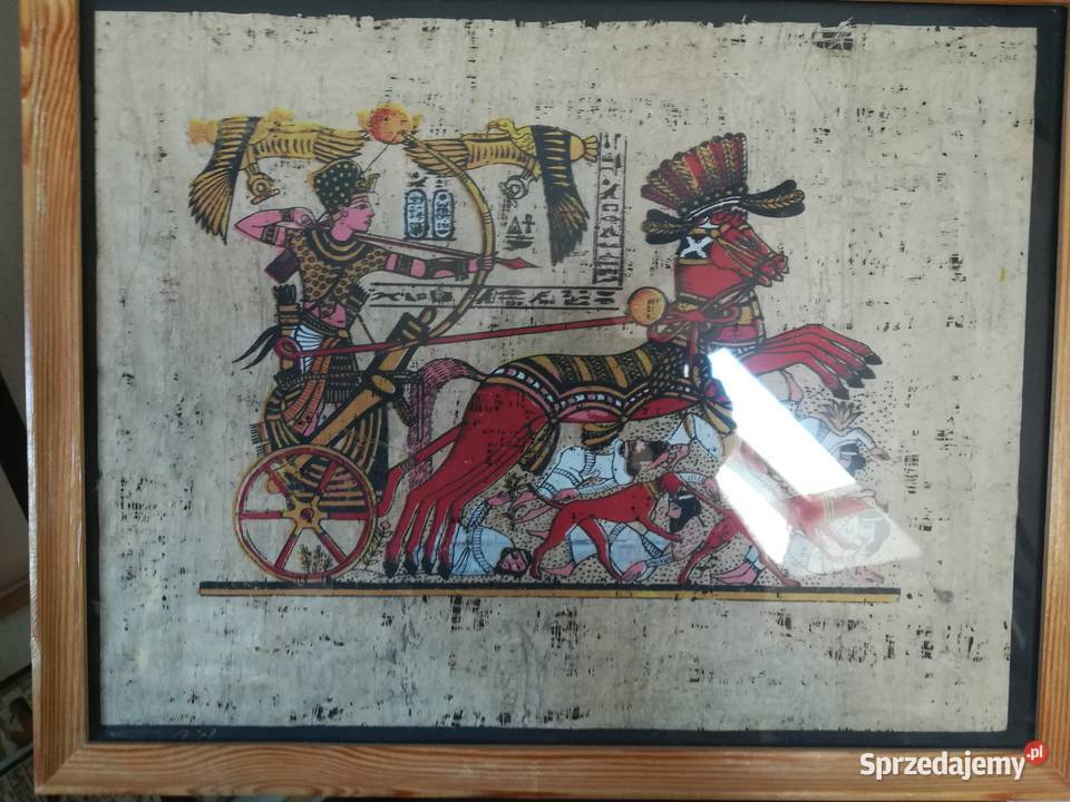 Obrazy Oprawione papirusy Dom i Ogród sprzedam