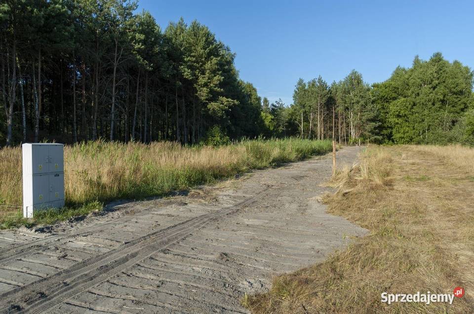 Las 30 letni z mozliwoscia budowy domu na Glinno sprzedam